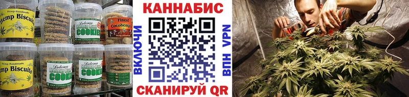 OMG ТОР  Сасово  Cannafood конопля 