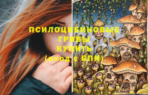 a pvp Рославль