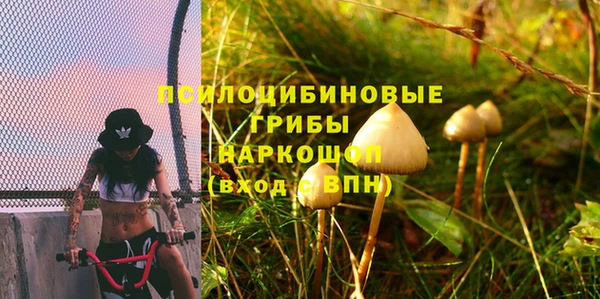 a pvp Рославль