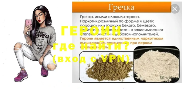 индика Гатчина