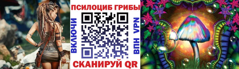 kraken ONION  наркота  Сасово  Псилоцибиновые грибы мухоморы 